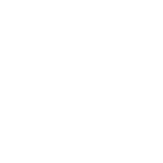 INTRO Logo